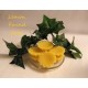 Scented Tarts 