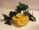 Scented Tarts Scented Tarts